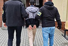 Podpalali lasy. Trafili do aresztu