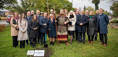 Podkarpacie uczciło Narodowe Święto Niepodległości-29951