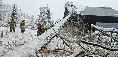 Podkarpackie: po ataku zimy ponad 1 tys. interwencji strażaków-30204