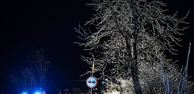 Najbliższa noc będzie mroźna, do minus 15 stopni C, i mglista-30213