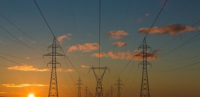 Potężna awaria sieci energetycznej. Kolbuszowa bez prądu-30375