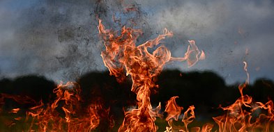 W weekend doszło do 215 pożarów traw