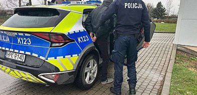 Policjanci zatrzymali wandala recydywistę
