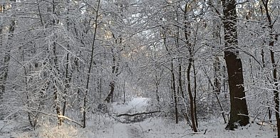 W najbliższych dniach rozpogodzenia, opady śniegu i mróz do minus 25 st. C