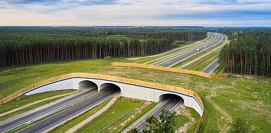 14 chętnych do zaprojektowania odcinka trasy S74 Opatów–Nisko