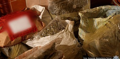 Policjanci przejęli ponad 60 kilogramów narkotyków