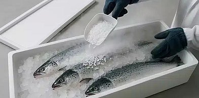 Produkcja suchego lodu w zakładzie — przewaga konkurencyjna w logistyce i