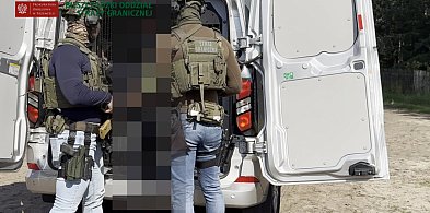 SG rozbiła grupę przestępczą, która m.in. legalizowała pobyt cudzoziemców -29151