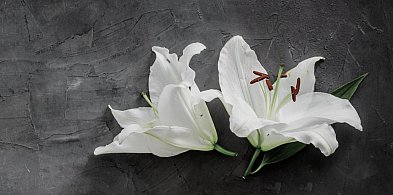 Kondolencje dla Bliskich śp. Mieczysława Wojtkowskiego-30537