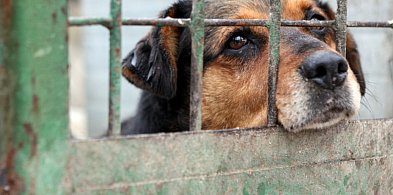 Marszałek Sejmu: 17 grudnia głosowanie w sprawie prezydenckiego weta-30555