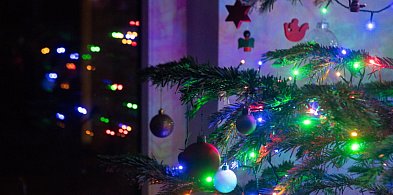 Choinka niejedno ma imię. Skąd ta tradycja?-30915