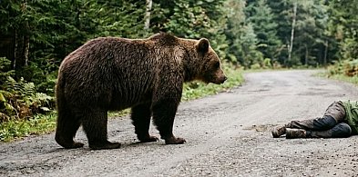 Niedźwiedź zaatakował mężczyznę w Bieszczadach!