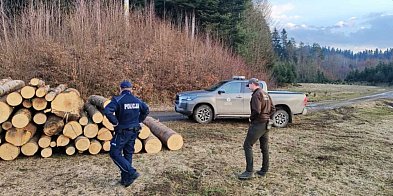 W lasach wraca problem quadów i porzuconych psów