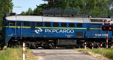 PKP Cargo zwolnią do 500 osób w 2025 r. w ramach zwolnień grupowych-28782