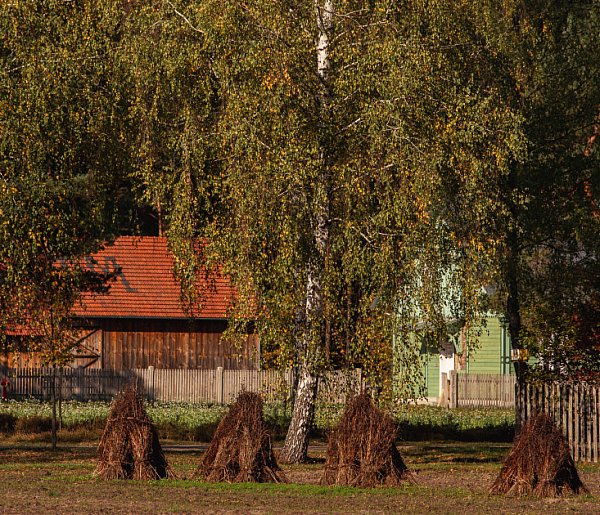 Weekend seniora z kulturą i otwarcie nowej wystawy w zagrodzie tkackiej-29012