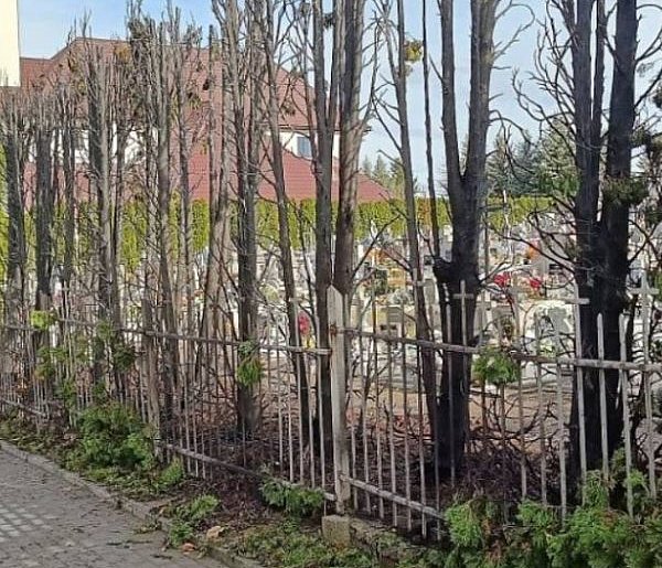 Pożar na cmentarzu. Szybka akcja straży-29756