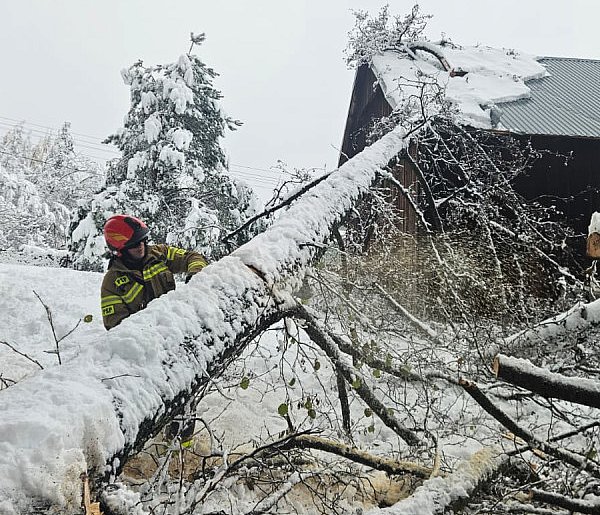 Podkarpackie: po ataku zimy ponad 1 tys. interwencji strażaków-30204