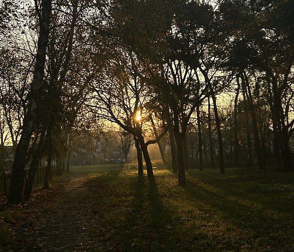 Nadchodzi najkrótszy dzień w 2025 roku. Sprawdź, kiedy przypadnie-30869