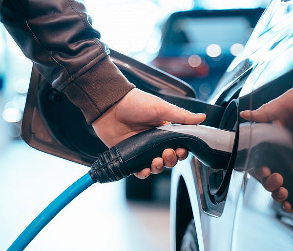 Coraz częściej dochodzi do takich kradzieży. Powody zaskakują-31569