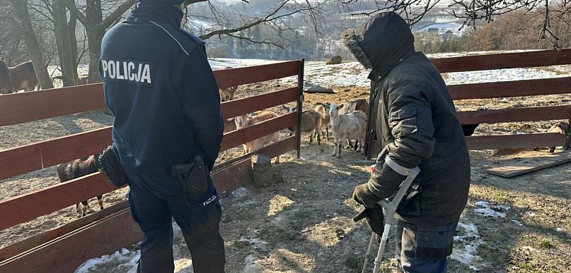 Zwierzęta na mrozie? Policjanci z kontrolami