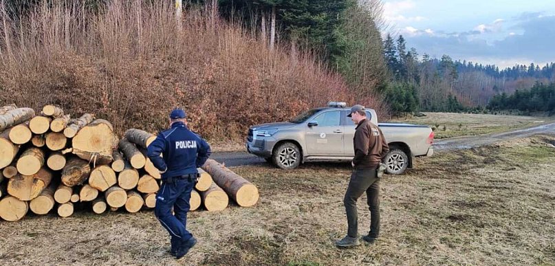 W lasach wraca problem quadów i porzuconych psów