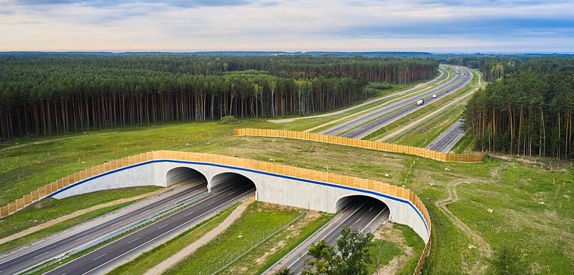 14 chętnych do zaprojektowania odcinka trasy S74 Opatów–Nisko