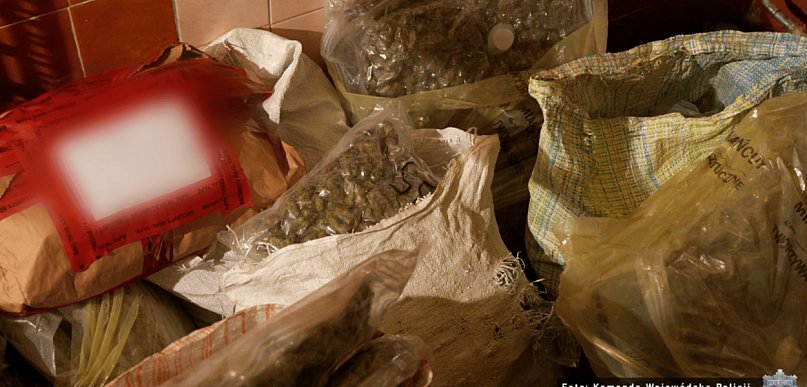 Policjanci przejęli ponad 60 kilogramów narkotyków