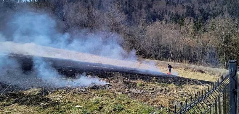 Policjanci ugasili płonącą łąkę
