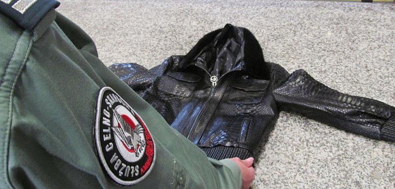 Futro z ocelota i wyroby ze skór pytonów zatrzymane na granicy