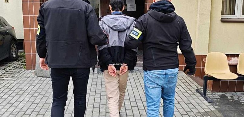 Podpalali lasy. Trafili do aresztu