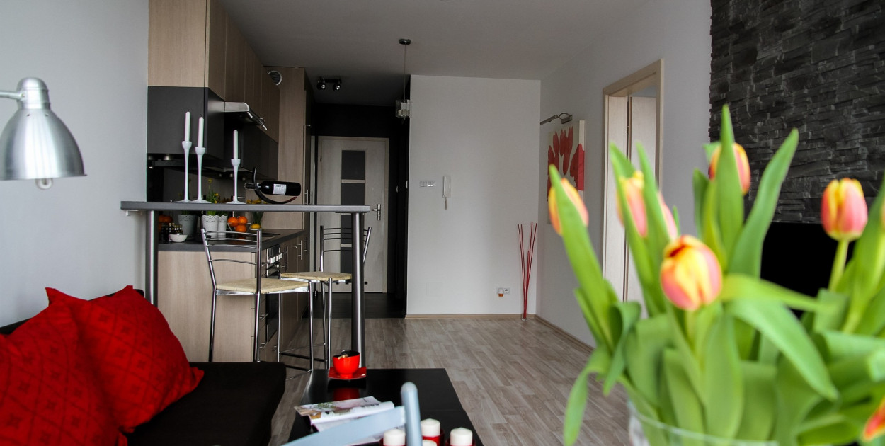 Obraz Michal Jarmoluk z Pixabay