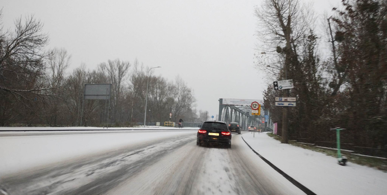 Fot. Daniel Wiśniewski / siecportali.pl