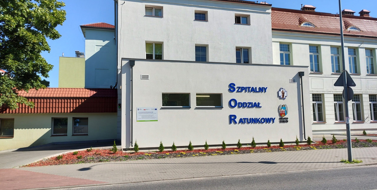 Zdjęcie ilustracyjne Fot. Paola B-R, CC BY 4.0, via Wikimedia Commons