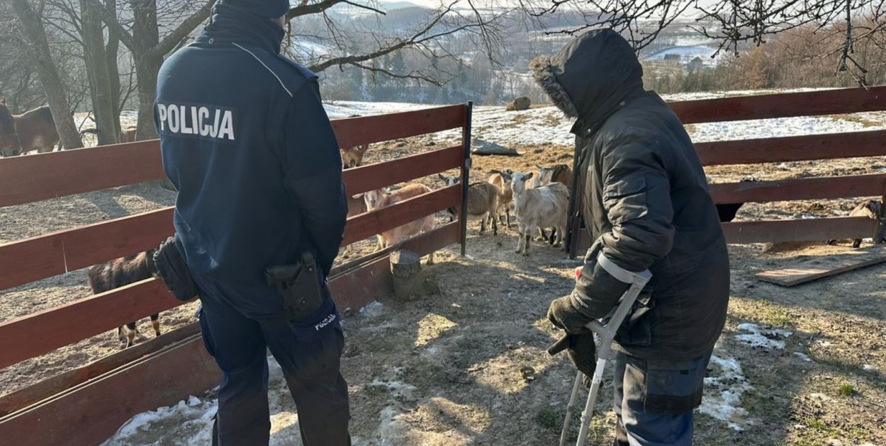 Zwierzęta na mrozie? Policjanci z kontrolami