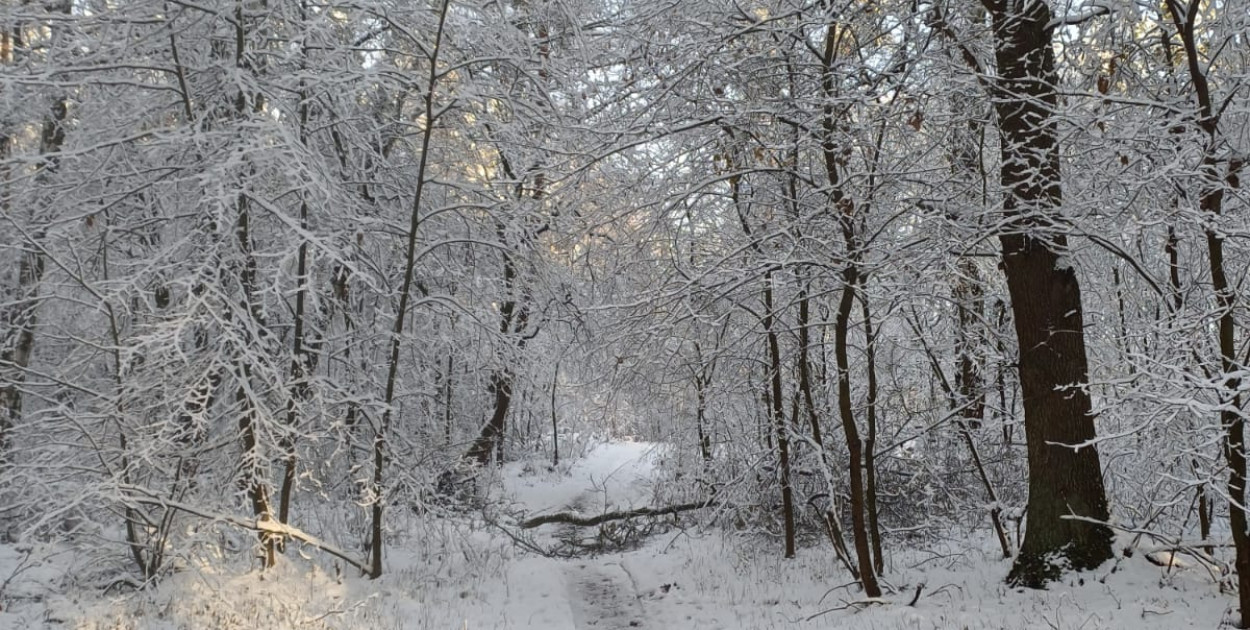 IMGW ostrzega południe Polski przed oblodzeniem