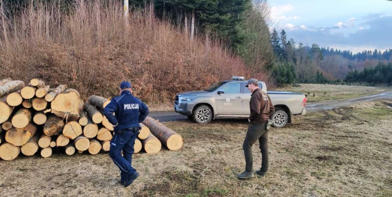 W lasach wraca problem quadów i porzuconych psów