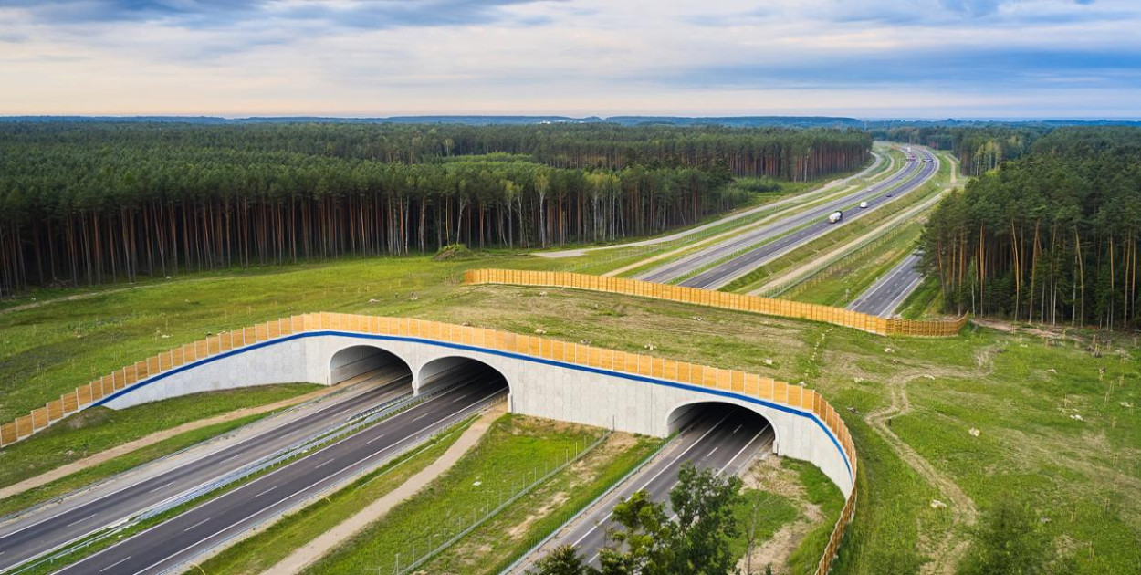 14 chętnych do zaprojektowania odcinka trasy S74 Opatów–Nisko