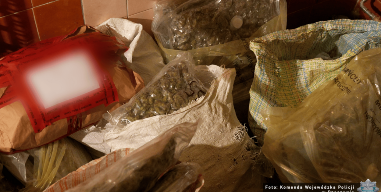 Policjanci przejęli ponad 60 kilogramów narkotyków