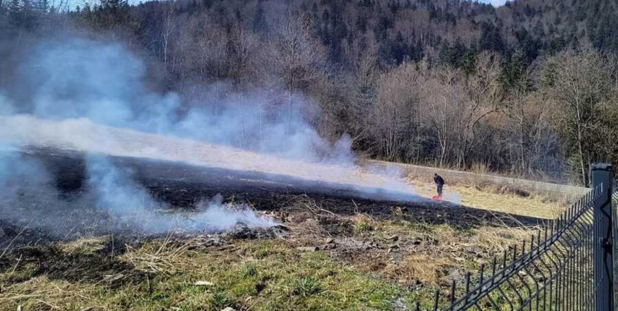 Policjanci ugasili płonącą łąkę
