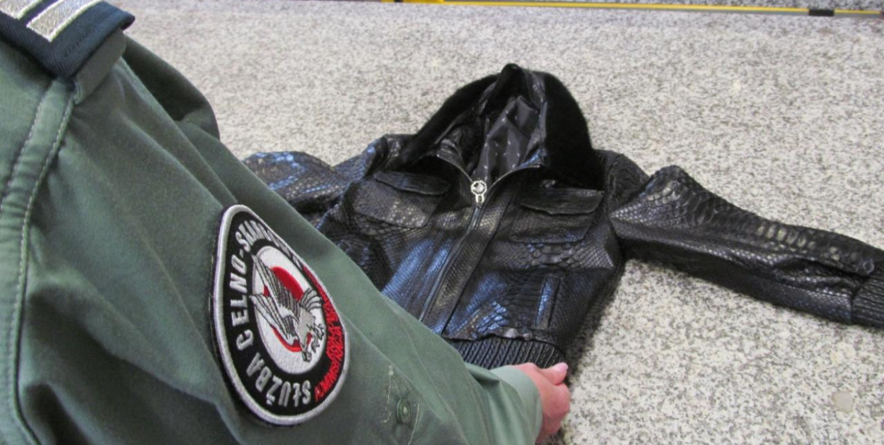 Futro z ocelota i wyroby ze skór pytonów zatrzymane na granicy