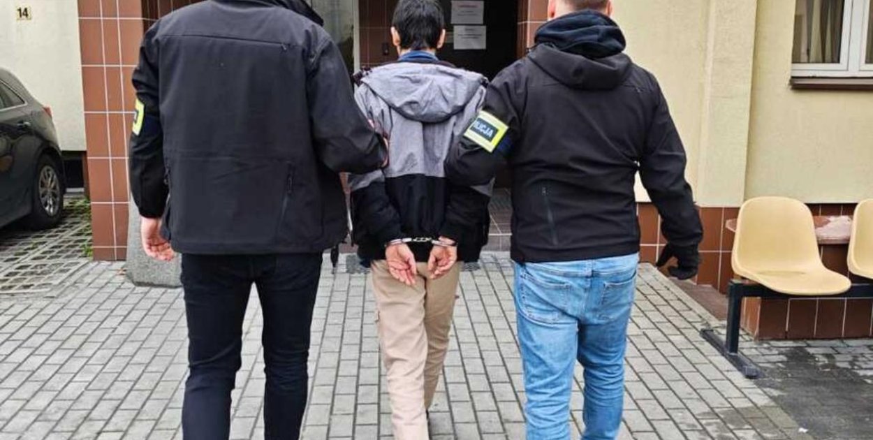 Podpalali lasy. Trafili do aresztu